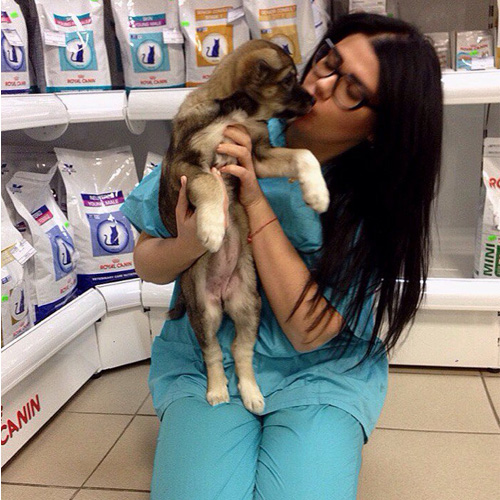 Ветеринарная клиника фото 3