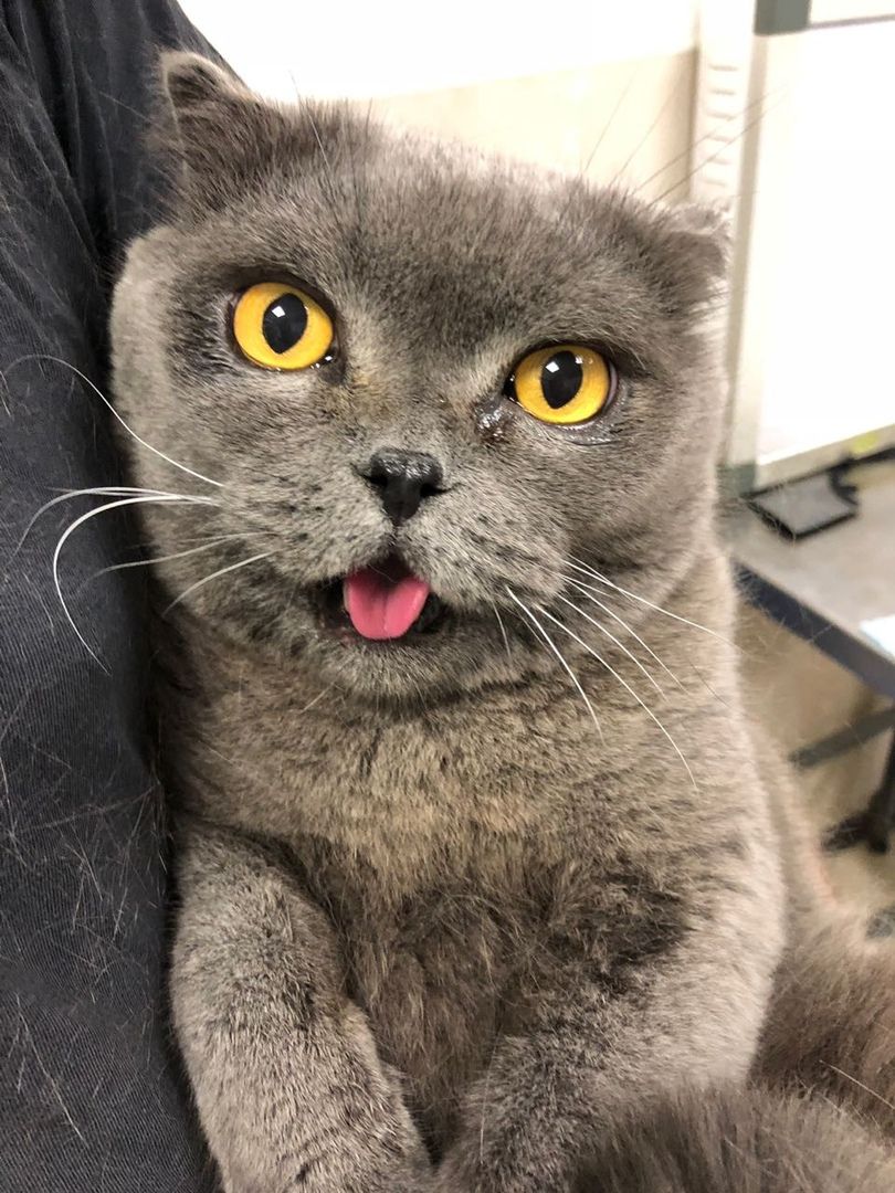 Пациент клиники 1