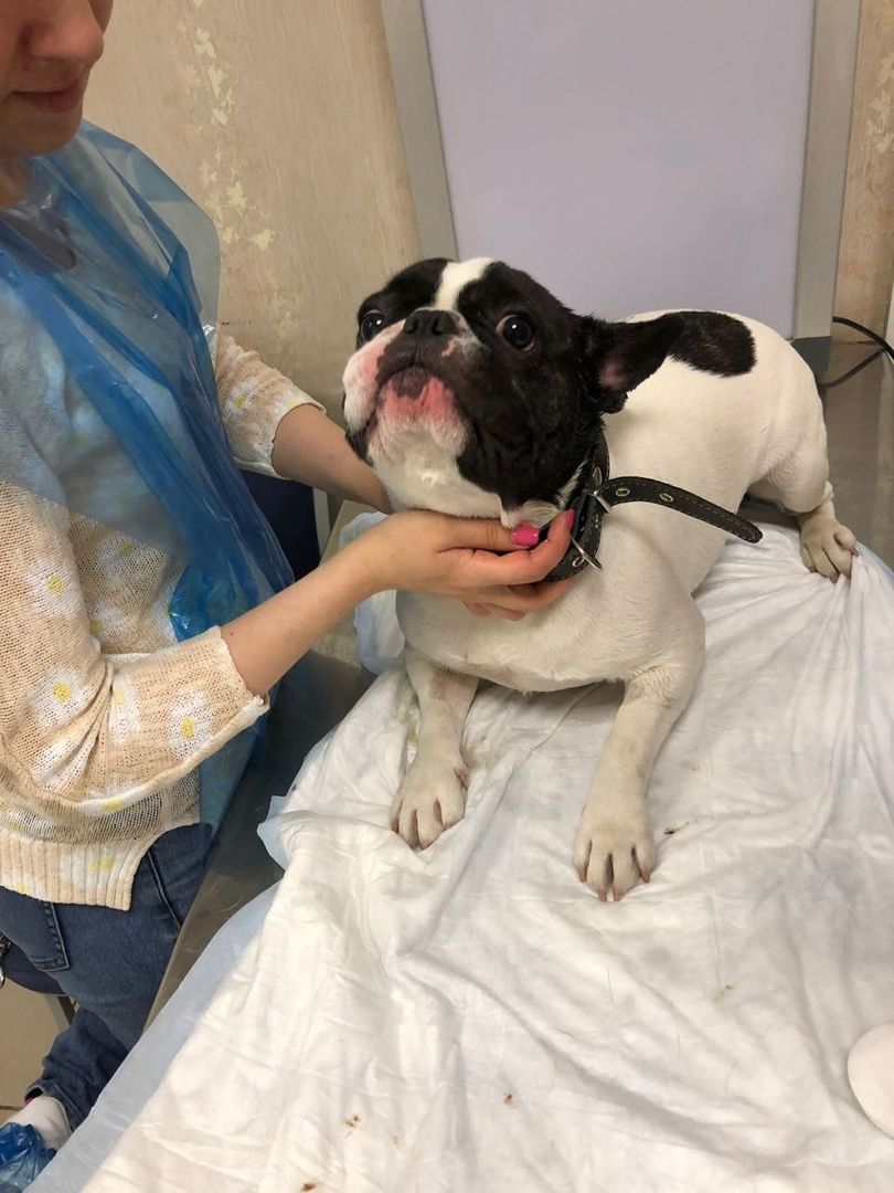 Пациент клиники 3