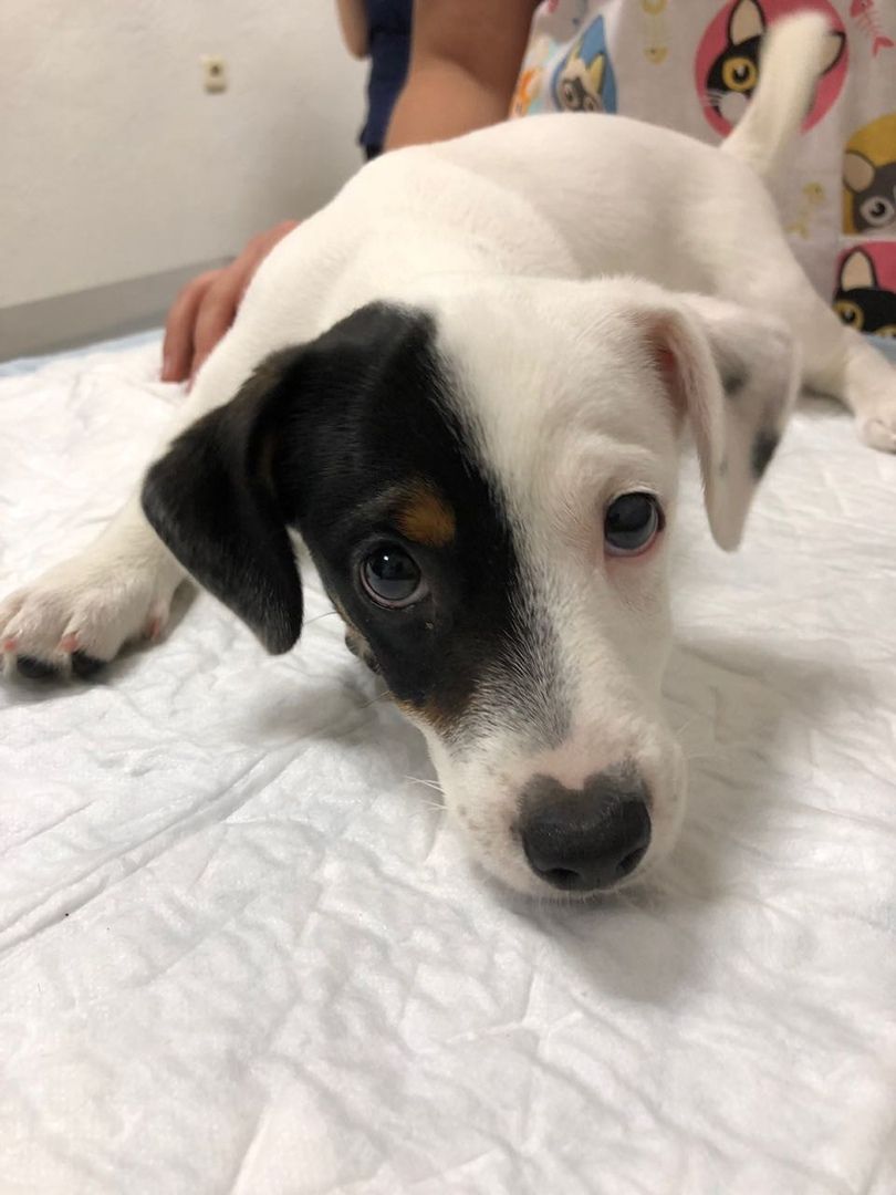 Пациент клиники 4